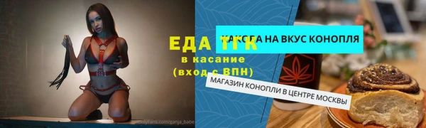 индика Бронницы